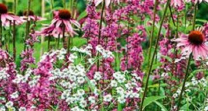 Azay-le-Rideau Terrain à bâtir - 2265202-10205annonce120250909PiCpt.jpeg Maisons Open