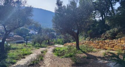 Solliès-Toucas Terrain à bâtir - 2334758-11039annonce220251112kbMRV.jpeg Maisons Open