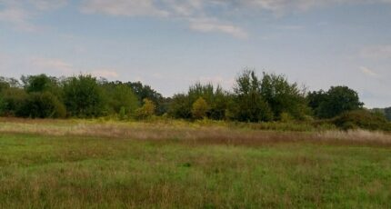 La Lande-de-Fronsac Terrain à bâtir - 2335283-1686annonce1202509222SUgu.jpeg Maisons Open