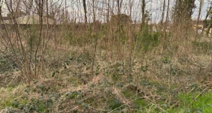 Saint-Denis-de-Pile Terrain à bâtir - 2335044-4459annonce1202410225o9OA.jpeg Maisons Open