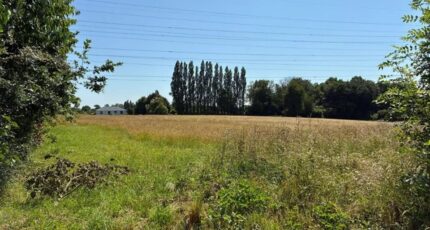 Saint-Nicolas-de-la-Taille Terrain à bâtir - 2300804-1887annonce220251010gOefF.jpeg Maisons Open