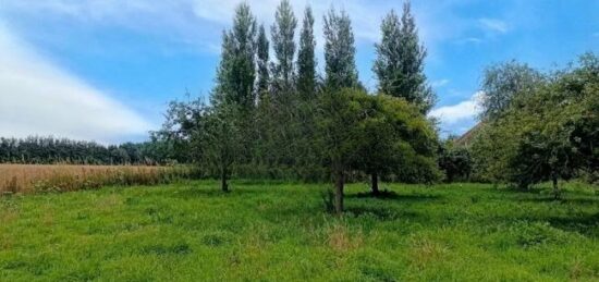 Terrain à bâtir à , Calvados