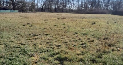 Margaux Terrain à bâtir - 2335563-1686annonce120250910mcgP2.jpeg Maisons Open