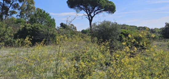 Terrain à bâtir à , Var