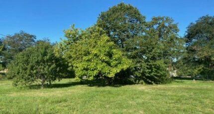 Robecq Terrain à bâtir - 2292984-11655annonce120251003SPgKn.jpeg Maisons Open