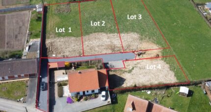 Lambres Terrain à bâtir - 2293170-11655annonce120251003oSTov.jpeg Maisons Open