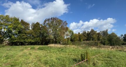 Moncheaux Terrain à bâtir - 2295465-11655annonce320251006P4khS.jpeg Maisons Open