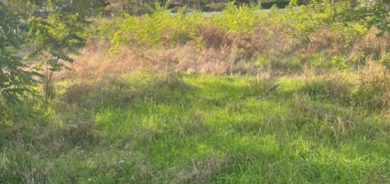 Terrain à bâtir à Castelnau-de-Médoc, Nouvelle-Aquitaine
