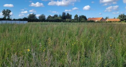 Audruicq Terrain à bâtir - 2265820-1587annonce320250909aIJWi.jpeg Maisons Open