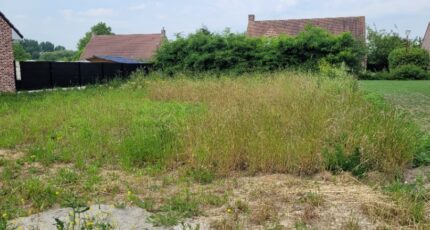 Herzeele Terrain à bâtir - 2267086-1587annonce320250910EThmS.jpeg Maisons Open