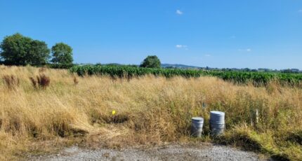 Wormhout Terrain à bâtir - 2267269-1587annonce320250911dvCeF.jpeg Maisons Open