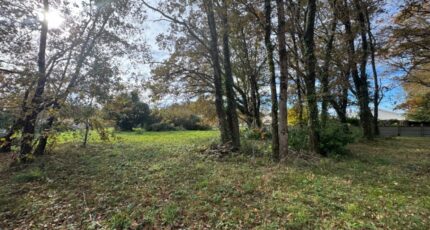 Lesparre-Médoc Terrain à bâtir - 2335885-10624annonce120251112MtXmE.jpeg Maisons Open