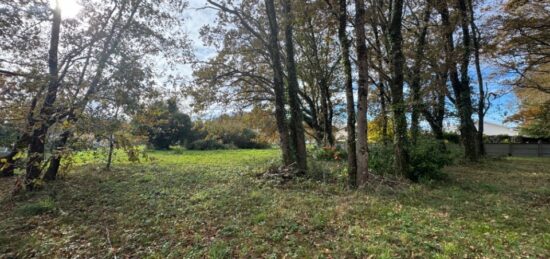 Terrain à bâtir à Lesparre-Médoc, Nouvelle-Aquitaine