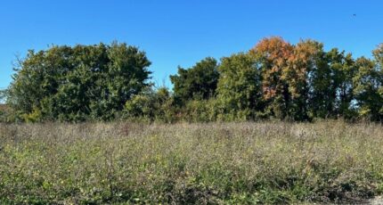 Ardillières Terrain à bâtir - 2336104-9644annonce320251113D11cz.jpeg Maisons Open