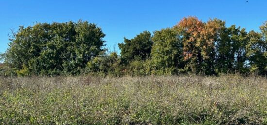 Terrain à bâtir à Ardillières, Nouvelle-Aquitaine