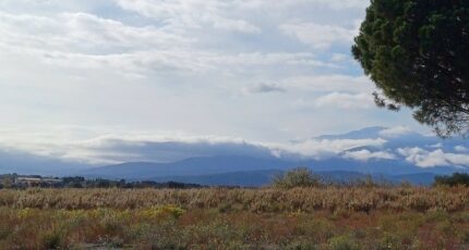 Saint-Jean-Lasseille Terrain à bâtir - 2267205-4671annonce1202509108iwhT.jpeg Maisons Open