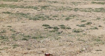 Saint-André Terrain à bâtir - 2304311-4671annonce120251013WpuJB.jpeg Maisons Open