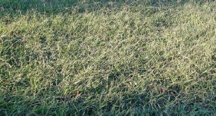 Saint-André Terrain à bâtir - 2304273-4671annonce1202510135pvz5.jpeg Maisons Open