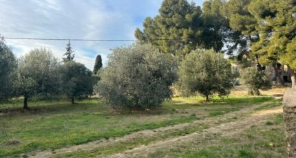 Saint-Chamas Terrain à bâtir - 2293385-7289annonce120251003FS4Fo.jpeg Maisons Open