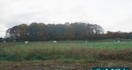 Argagnon Terrain à bâtir - 2336430-5828annonce1202503206OBwI.jpeg Maisons Open