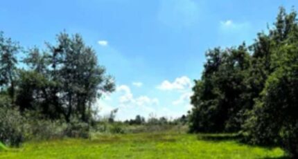 Potelle Terrain à bâtir - 2254658-10617annonce120250829TJ6pq.jpeg Maisons Open