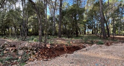 Lorgues Terrain à bâtir - 2337360-5826annonce120251113NyaPw.jpeg Maisons Open