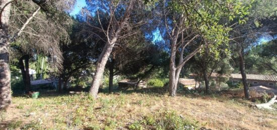 Terrain à bâtir à , Var