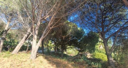 Roquebrune-sur-Argens Terrain à bâtir - 2337401-9911annonce520251113TJwaG.jpeg Maisons Open