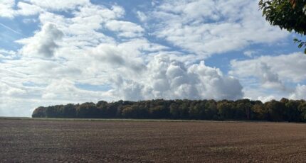 Aviron Terrain à bâtir - 2303792-1703annonce120251013pSDuc.jpeg Maisons Open