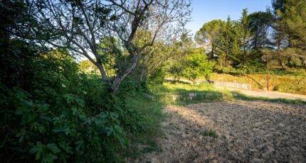 Saint-Hilaire Terrain à bâtir - 2265642-11456annonce320250909XmWTC.jpeg Maisons Open