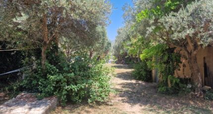 La Penne-sur-Huveaune Terrain à bâtir - 2259926-7080annonce220250904Ie3Do.jpeg Maisons Open