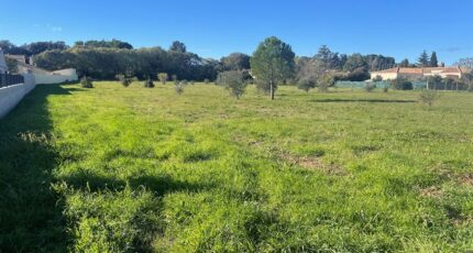 Canet Terrain à bâtir - 2338261-11507annonce120251114q4MUC.jpeg Maisons Open