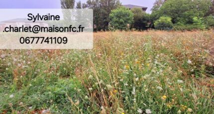 Nœux-les-Mines Terrain à bâtir - 2303699-5754annonce220251013ug6qb.jpeg Maisons Open