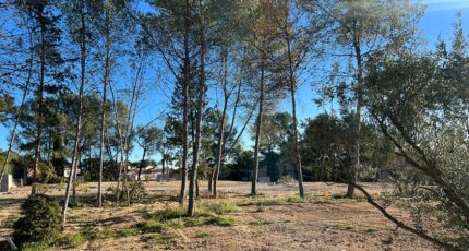 Saint-Clément-de-Rivière Terrain à bâtir - 2338575-3243annonce120250325pFiCF.jpeg Maisons Open