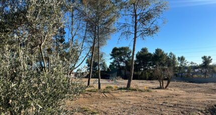 Saint-Clément-de-Rivière Terrain à bâtir - 2338559-3243annonce220250325a2rqr.jpeg Maisons Open