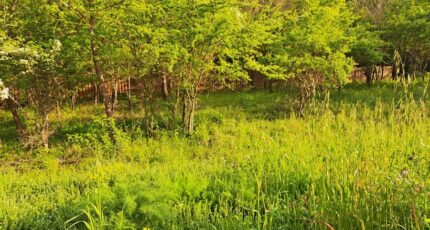 Gréasque Terrain à bâtir - 2338720-11041annonce220251114RFP8T.jpeg Maisons Open