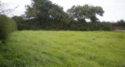 Alleins Terrain à bâtir - 2305006-417annonce320251014GsW01.jpeg Maisons Open