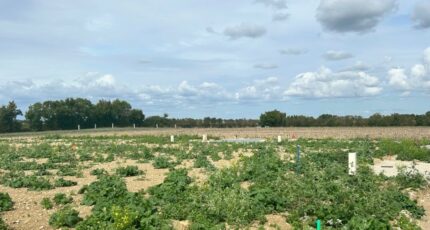 Saint-Jean-de-Liversay Terrain à bâtir - 2338654-9644annonce120251114ZNnSz.jpeg Maisons Open