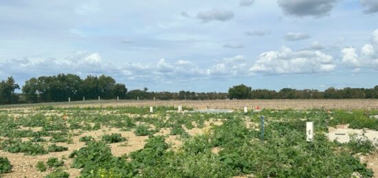 Terrain à bâtir à Saint-Jean-de-Liversay, Nouvelle-Aquitaine