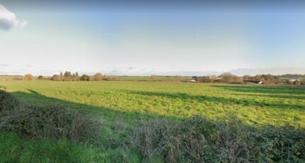 Saint-Laurent-en-Gâtines Terrain à bâtir - 2256050-9897annonce1202506184p4XZ.jpeg Maisons Open