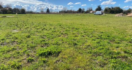 Surgères Terrain à bâtir - 2338958-11194annonce3202511142hM1P.jpeg Maisons Open