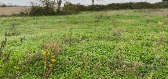 Terrain à bâtir à , Charente-Maritime