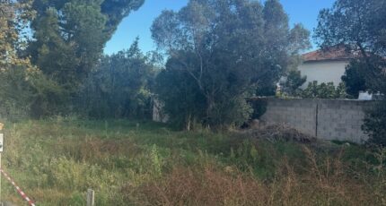 Istres Terrain à bâtir - 2338495-11677annonce120251114aT8mP.jpeg Maisons Open