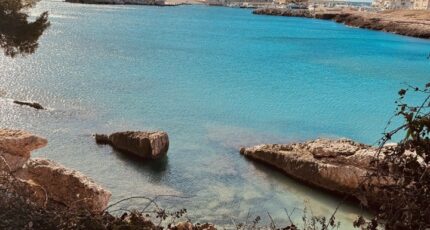 Martigues Terrain à bâtir - 2334341-11677annonce320251110kPXSh.jpeg Maisons Open