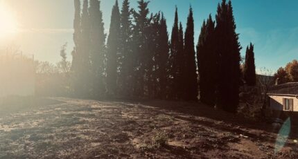 Le Puy-Sainte-Réparade Terrain à bâtir - 2338383-11677annonce120251114KiXTp.jpeg Maisons Open