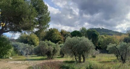 Ventabren Terrain à bâtir - 2338682-11680annonce120251114LL8oH.jpeg Maisons Open