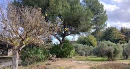 Ventabren Terrain à bâtir - 2338682-11680annonce220251114k1pTZ.jpeg Maisons Open