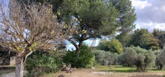 Terrain à bâtir à , Bouches-du-Rhône