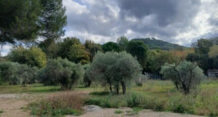 Ventabren Terrain à bâtir - 2338627-11680annonce420251114EUJ2B.jpeg Maisons Open