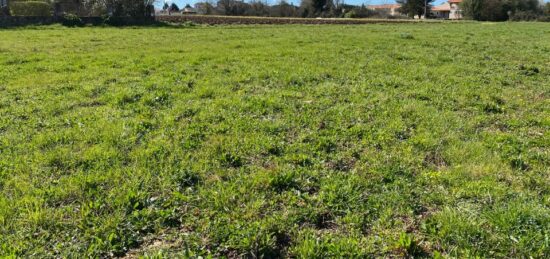 Terrain à bâtir à , Charente-Maritime